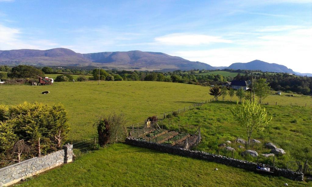 Dunn Court House Bed & Breakfast Killarney Dış mekan fotoğraf