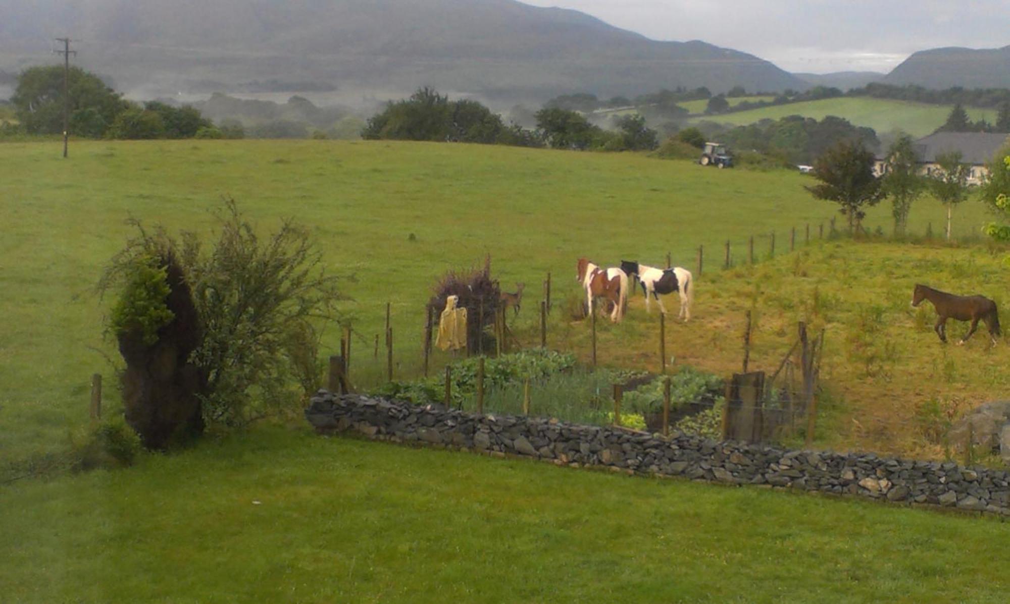 Dunn Court House Bed & Breakfast Killarney Dış mekan fotoğraf
